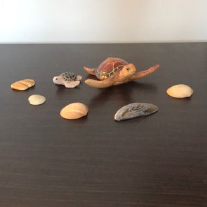 Cute Turtle Display! 🐢 ❤️